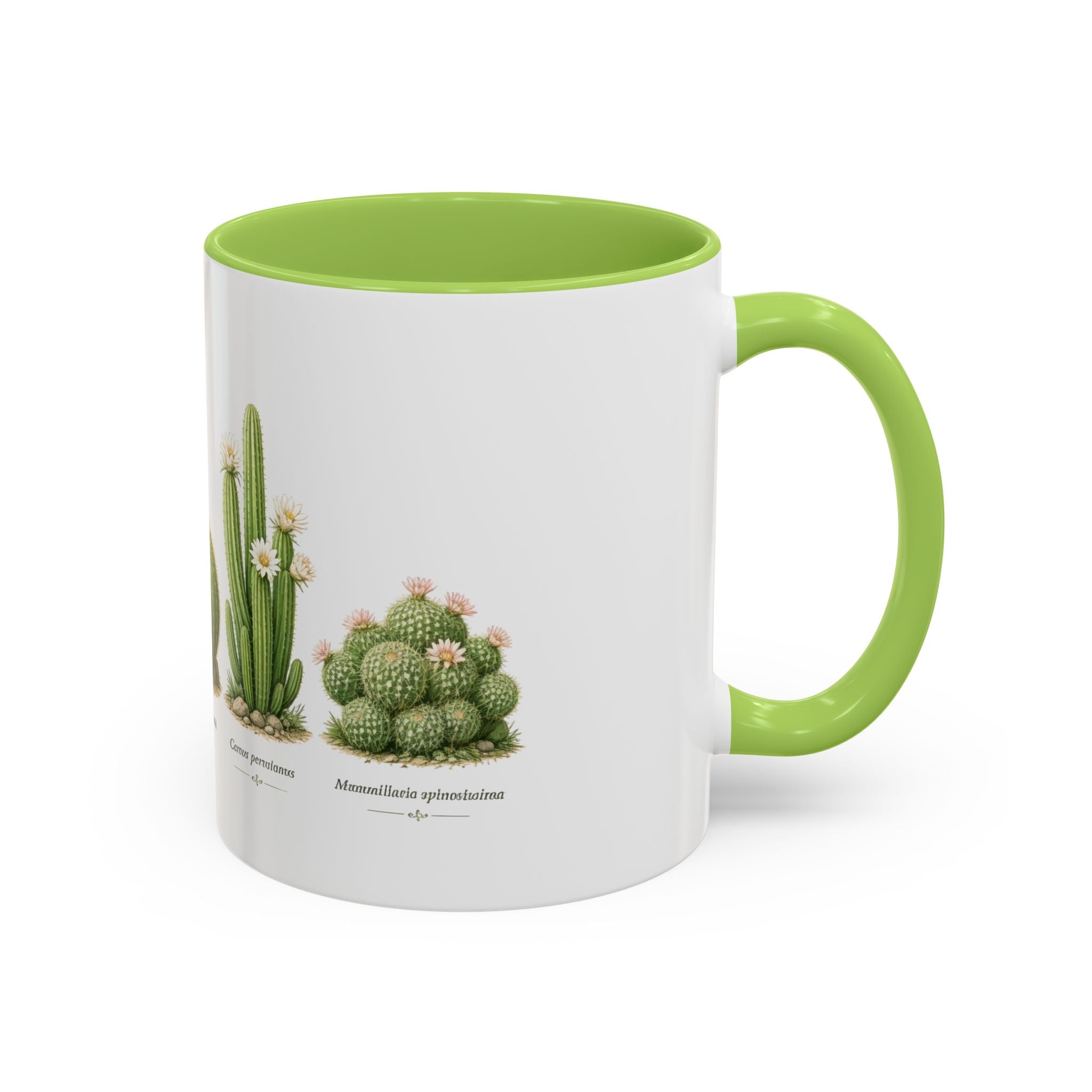 Cactus  Ceramic Mug