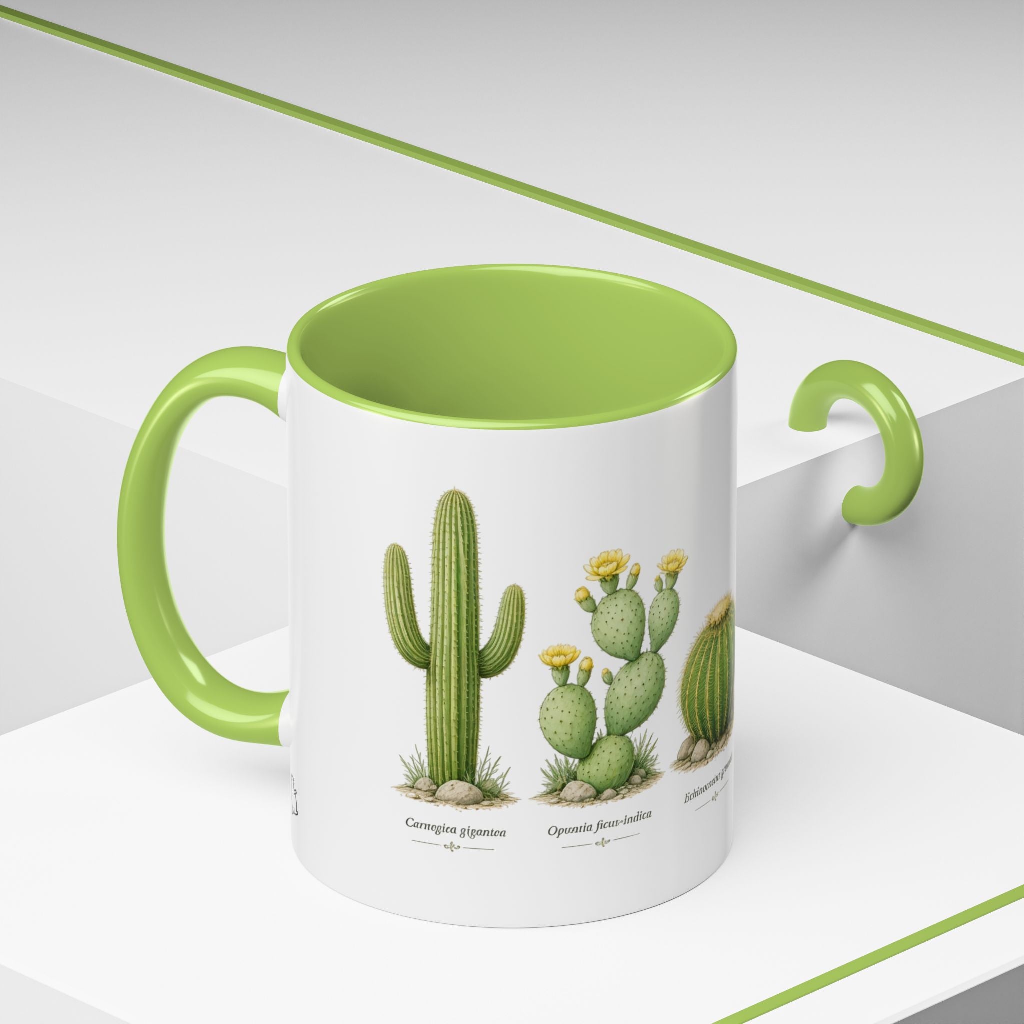 Cactus  Ceramic Mug