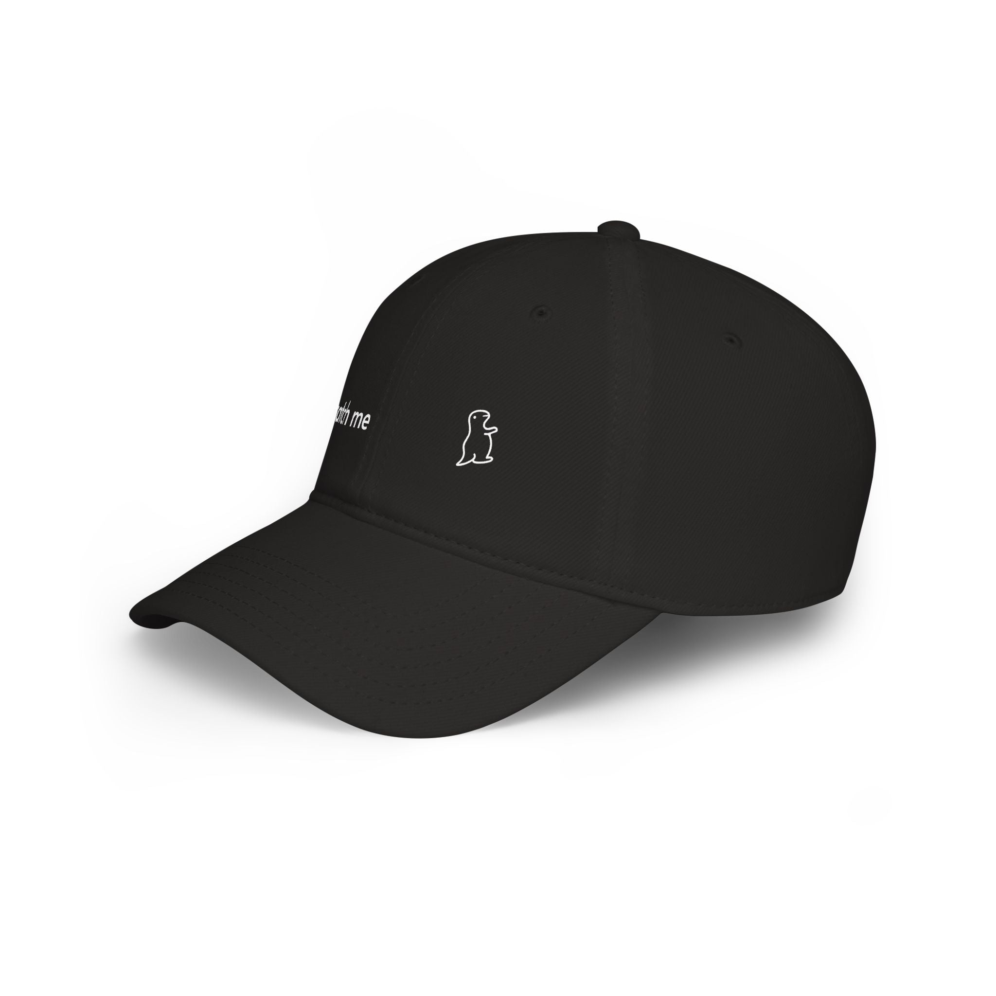 Catch me Cap