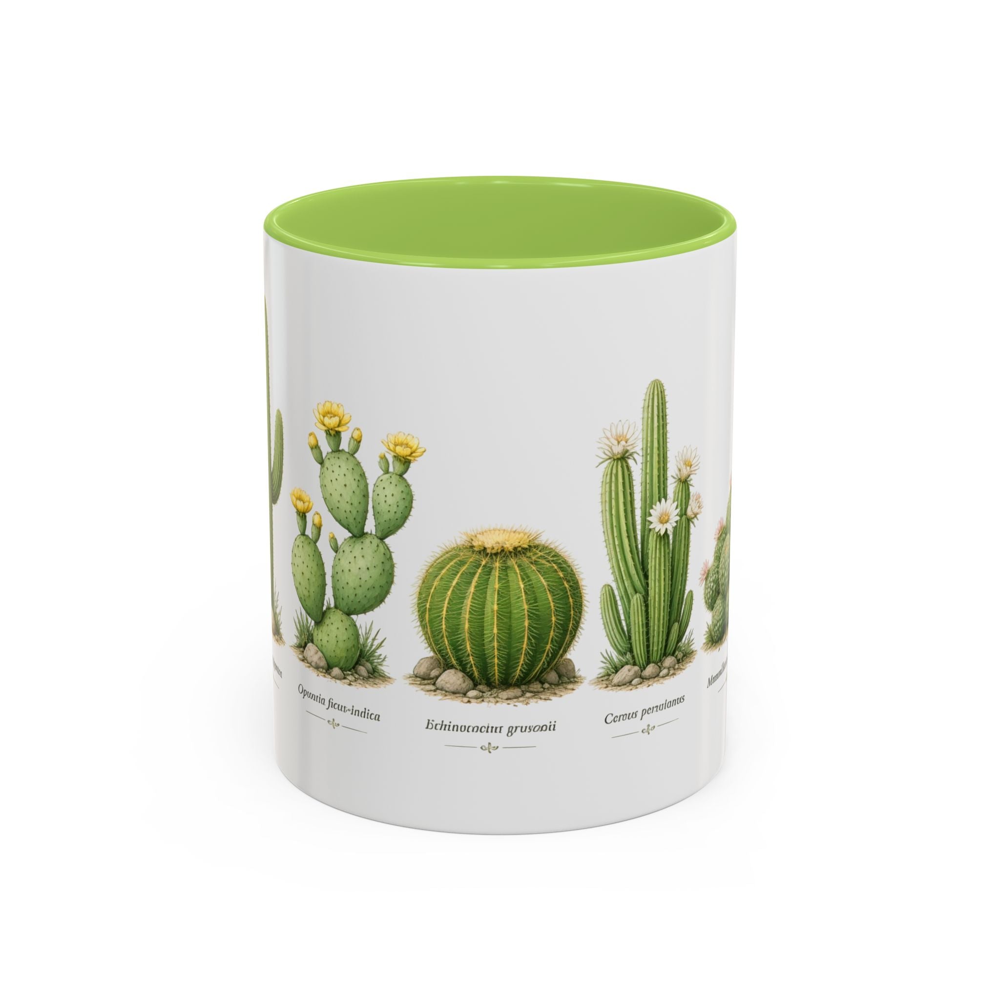 Cactus  Ceramic Mug