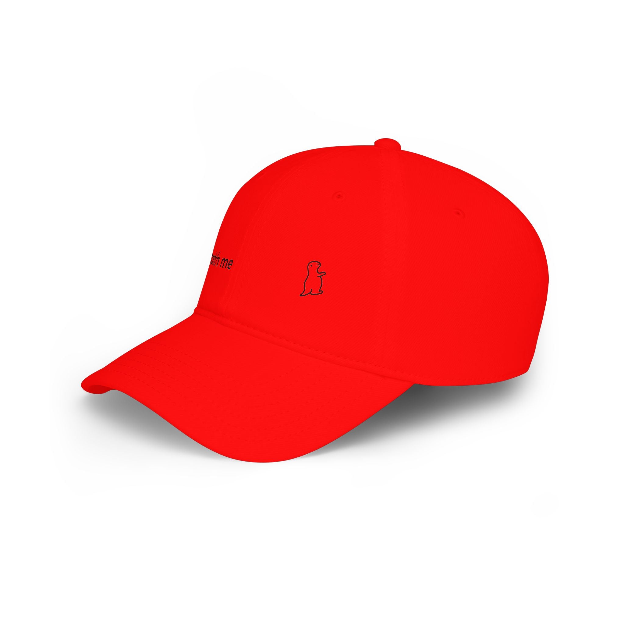 Catch me Cap